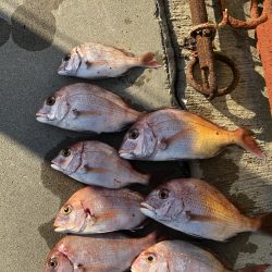 チャリコサイズ多いです