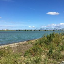 ファミリーハゼ釣り大会