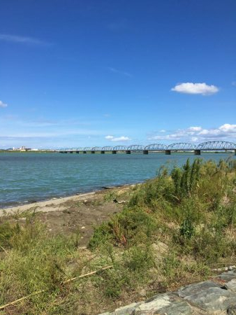 ファミリーハゼ釣り大会