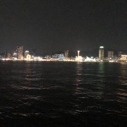 夕まずめねらい