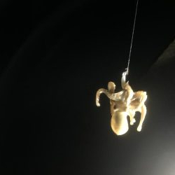 アジングでガシラフィーバー！