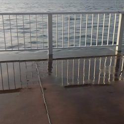 なんとか来たよ