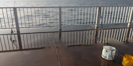 なんとか来たよ