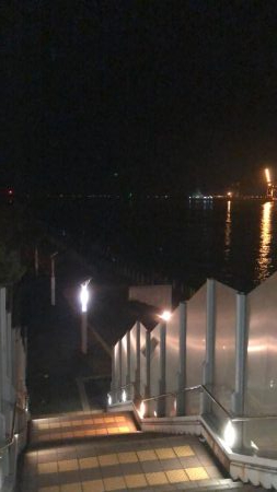 無風のシーサイドコスモ