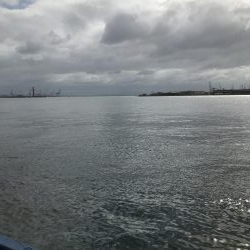 台風後神戸遠征