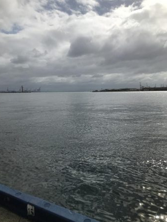 台風後神戸遠征