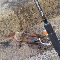 新しい相棒に墨つけ~⤴