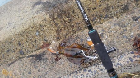 新しい相棒に墨つけ~⤴