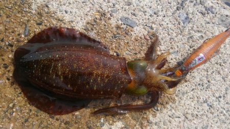 風が吹く前に～⤴