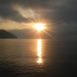 増税スタート　アオリイカは増えず・・・