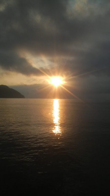 増税スタート　アオリイカは増えず・・・