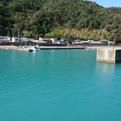 初めての小浦漁港でフカセ釣り