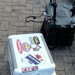 タチウオ人気ありすぎやわ