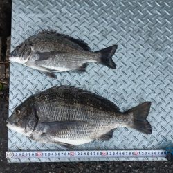 満潮１時間前に