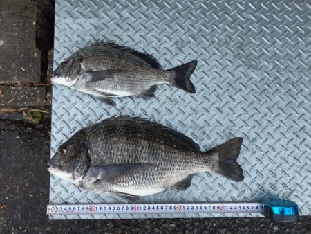 満潮１時間前に