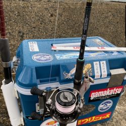 過去最高の・・・