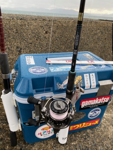 過去最高の・・・