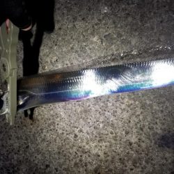 風にも負け…てしまいながらも