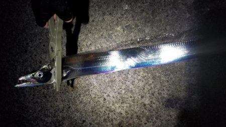 風にも負け…てしまいながらも