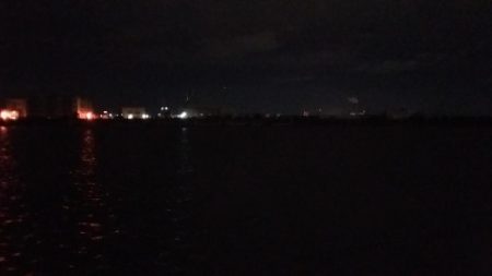 舞洲のタチウオ