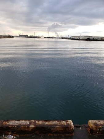 ハマチ渋い目！