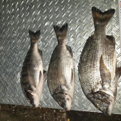 強風で海が大荒れ