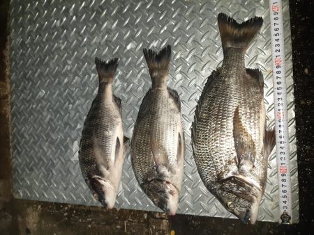 強風で海が大荒れ