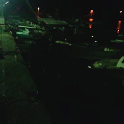 アコウ34cm クロソイ23cm