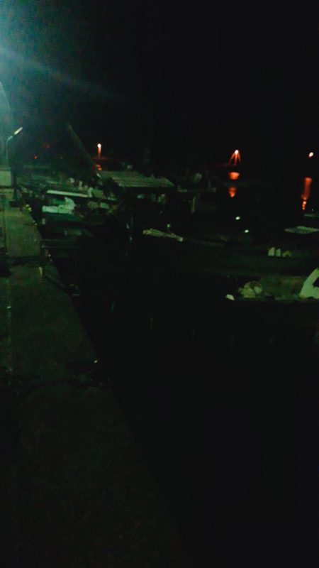 アコウ34cm クロソイ23cm