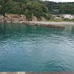 フカセで小物色々