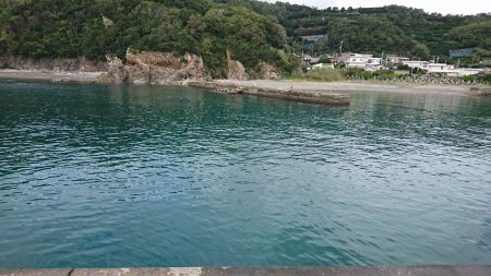 フカセで小物色々