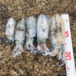 大変良くできました。