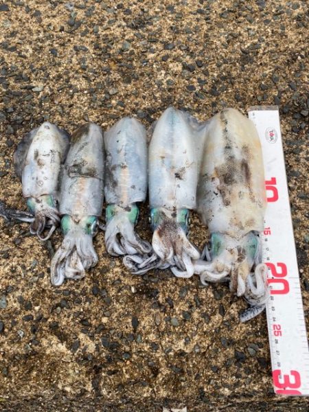 大変良くできました。