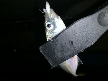 アーバンサイドアジング