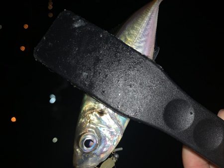 アーバンサイドアジング