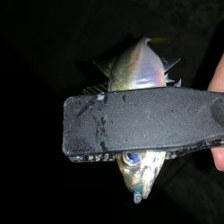 アーバンサイドアジング