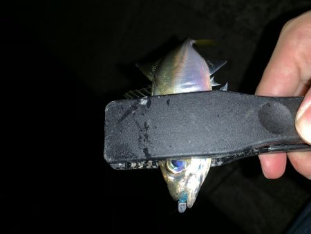 アーバンサイドアジング