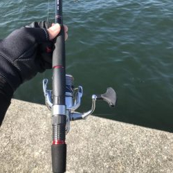 久しぶりの渡船