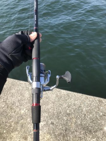 久しぶりの渡船