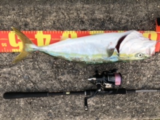 風強いし雨降るし・・・