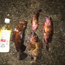 ツチノコ！！！