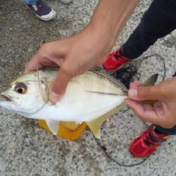 念願の奴が釣れた