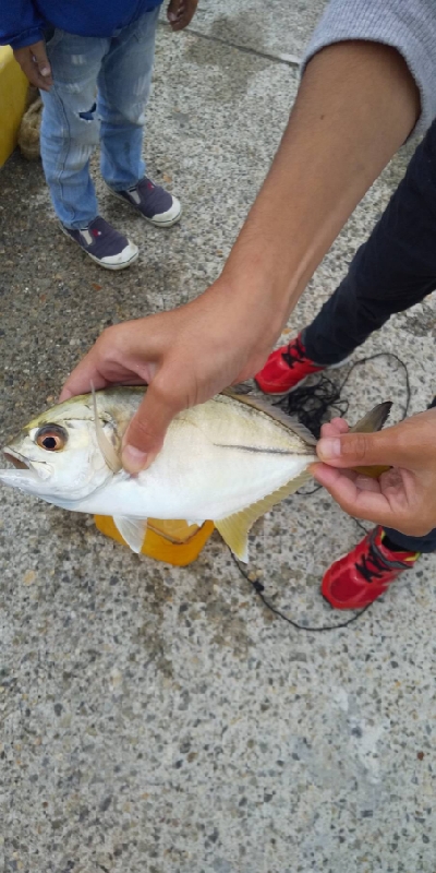 念願の奴が釣れた
