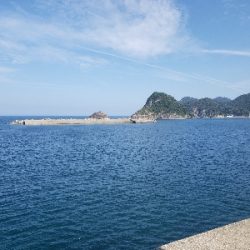 友人と釣行