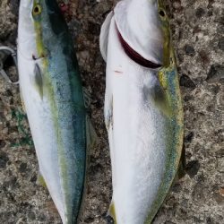 台風後のショアジギ