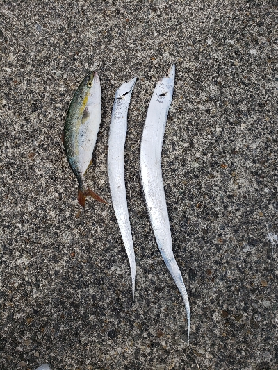 今年初、初、初！！！