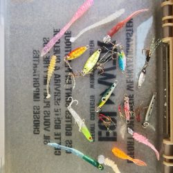 アジング練習 33