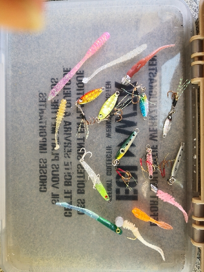 アジング練習 33