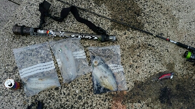 先行者のヤエン師匠