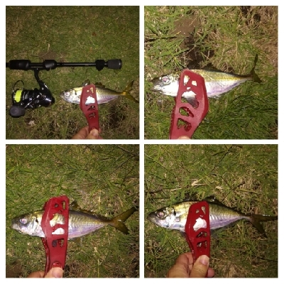 LSJigginger0525〜0610 アジンガー1800〜1935